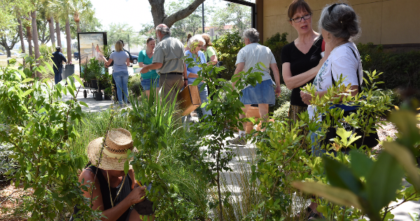 Plant loving public at the plant sale